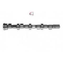 EKSANTRİK MİLİ EMME DUCATO-MASTER 2.3 JTD