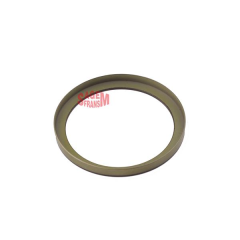 ABS OKUYUCU HALKA ARKA RENAULT MEGANE II 02 MODUS 04 CLIO III 05