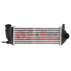 TURBO RADYATÖRÜ INTERCOOLER RENAULT KANGO 1.5DCI 2010 90-103-110BG 385x143x64 KELEPÇE SIKMALI
