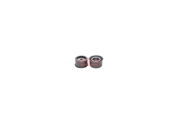 EKSANTRİK GERGİ RULMANI OPEL ASTRA G-H-SPEEDSTER-ZAFIRA B-A 2.0 16V 00-10