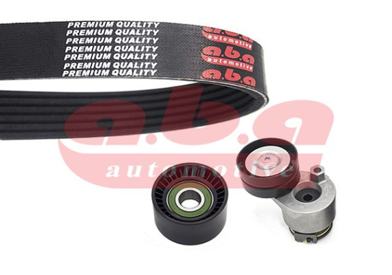 KANALLI V KAYIŞ SETİ NISSAN PRIMASTAR 1.9 dCi 100-dCi 100 01