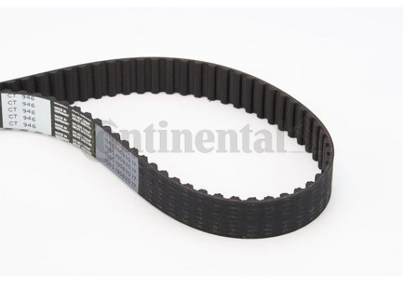 TRİGER KAYIŞI 141x254 141 DİŞ CADDY 1.9 SDI/POLO-GOLF IV-BORA 1.9 TD 5543XS x C