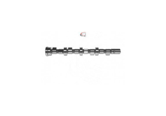 EKSANTRİK MİLİ EMME DUCATO-MASTER 2.3 JTD