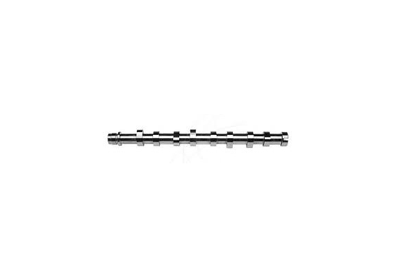 EKSANTRİK MİLİ P307-P206-P1007-C3-C4 1.4 HDI-FIESTA DÖKÜM