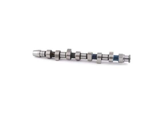 EKSANTRİK MİLİ VW 1.9 AGR-ALH