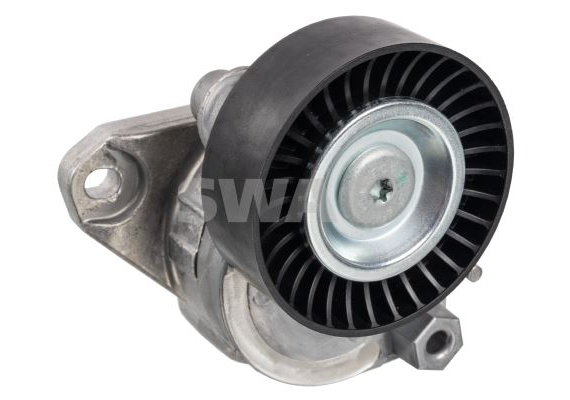 KAYIŞ GERGİSI FEBI 40446
