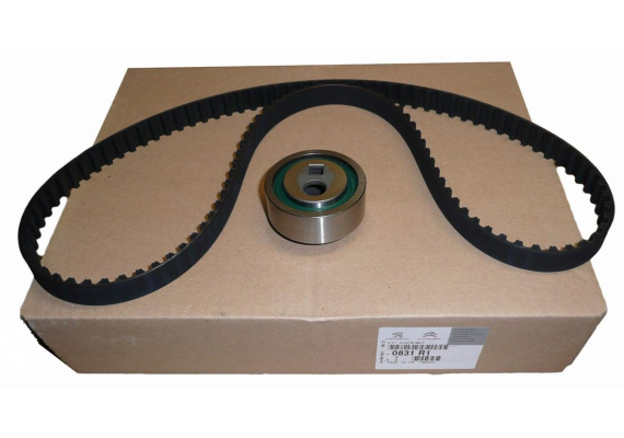 EKSANTRİK GERGİ KİTİ 114x170 P205-P306-P405-P406-P605-XANTIA-BX