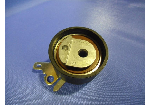 EKSANTRİK GERGİ RULMANI P206-307-406-407-607-806-807-EXPERT-C4-C5-C8-XSARA-SCUDO 1.8 16V-2.0 16V-2.2